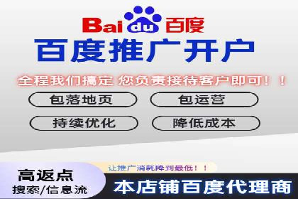 sem竞价托管代运营——广告优化的典范案例